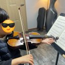 바이올린(야간) 이미지