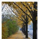 연수원길 이미지