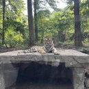 G00010 | 부산에서 에버랜드까지? G카로 가족여행 다녀온 리얼 후기 (요금공개)