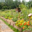 양천도시농업공원 이미지