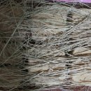 유인숙농장 이미지