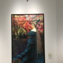 지미브로우