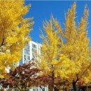 통일세탁소 이미지