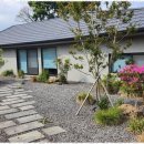 스테이정연 이미지