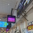성일수산 | 고소하고 부드러운 봄 제철 알쭈꾸미 숯불구이 노량진 성일수산 내돈내산 후기 feat.(손선장)