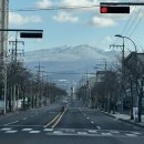 만금 | 제주 가성비 맛집 백반 만원 만금식당 내돈내산 후기 쇠소깍 근처