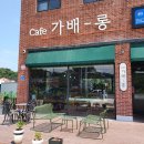 가배롱