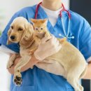 문 동물병원 이미지