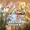 용산-5 | 서울 용산 전시 플로랄 팔레트 인생사진관 #5 솔직후기 가격 주차 전시 정보
