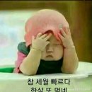 대전둘레산길(11구간) | 대전 둘레산길 11구간 - 쟁기봉에서 구봉산을 거쳐 방동저수지까지.