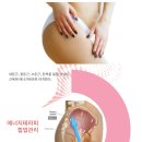 에너지샵 이미지