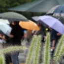 그리고 캠핑장 이미지