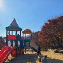 예그리나 B 이미지