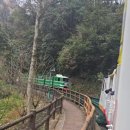 11월 장가계 여행 - 천자산, 십리화랑모노레일 이미지