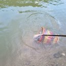 산유낚시터 이미지