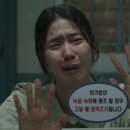 법률사무소보람 티스토리