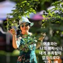 여행스케치유