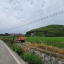 삼산면-8 이미지