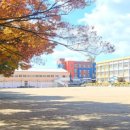 (주)네이쳐포헬스 이미지