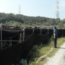 음봉파출소 이미지