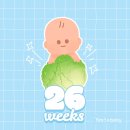 임신일기 (26 ~ 27주) | 눈물의 첫 태동검사, 눕눕 생활 그리고 임신 중기 끝