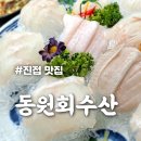 1334 | 진접 횟집 추천 [동원회수산] 해산물 스끼다시까지 푸짐한 남양주 맛집