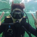 Bubble line 이미지