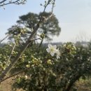 향연민박 이미지