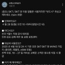 [정보] SKT/SKT망 이용 알뜰폰 유저가 반드시 유심을 교체해야 하는 이유 이미지