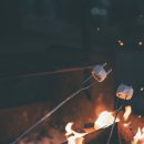 더플레이스바이