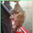 낚시매점 이미지