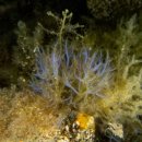 남해-294 이미지