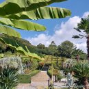 해금강하우스 | 지세포관광유람선 거제도가볼만한곳 거제도외도 외도유람선예약 후기 추천