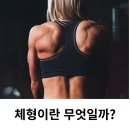 Medi & Fit (메디 앤 핏) | [평촌PT,평촌재활운동]체형이란 무엇일까?