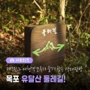 유달산둘레길 이미지