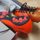 수원-0609 이미지