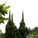 서동공원 Daum카페