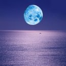 닉스엔녹스 이미지