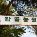 천마한옥민박 이미지