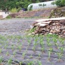 가곡면 복지회관 이미지