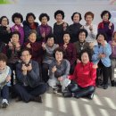 양음지마 문화건강센터 이미지