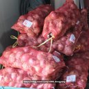 동양건강원 이미지