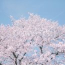 휘트니스센터 이미지