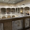 뽀도독(for the dog) | [캐나다, 미국 여행] 미국 뉴욕 2일차/센트럴파크, The Hot Dog King, the MET, 2 bros pizza