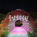 풍암호수공원 장미원 (옥외2) | 광주 꽃구경 명소 &#39;풍암호수공원&#39; 장미원 야경과 함께 산책하기 좋은 곳 - 개화 상황, 주차