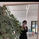 오드리컴퍼니 이미지