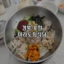뽀도독 | [경북] 포항 영일대 해수욕장 물회 맛집 마라도회식당
