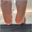 준바이오 이미지