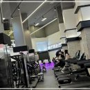 골드에스 휘트니스, 필라테스 서초점 | 서초동 헬스장, 골드에스휘트니스 서초점에서 즐거운 운동하기!