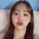 피브완 이미지